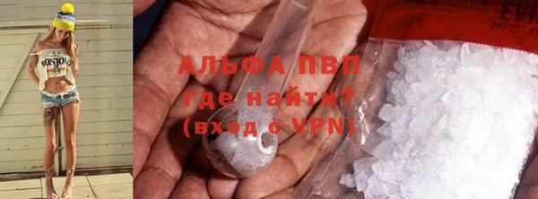 дживик Инсар