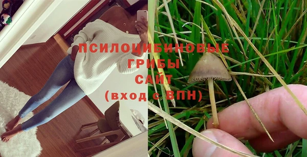 мдпв Инта