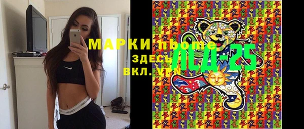 мдпв Инта