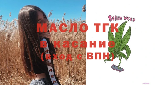 мдпв Инта