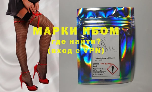 мдпв Инта