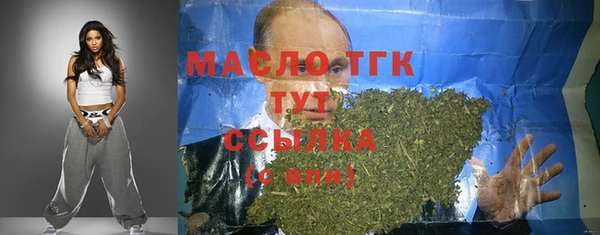 мдпв Инта