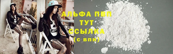 стафф Каменск-Шахтинский