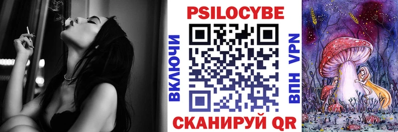 Купить  Нижний Ломов  Псилоцибиновые грибы Cubensis 